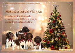 KCHMSDS - Vianoce 2025 a pf-2026